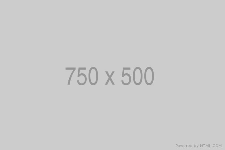 terti 02